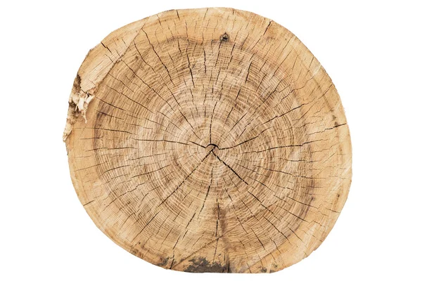 Secțiunea și textura inelelor de copac izolate pe fundal alb — Fotografie, imagine de stoc