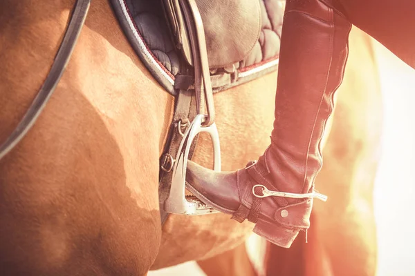 Krijgen op het paard — Stockfoto