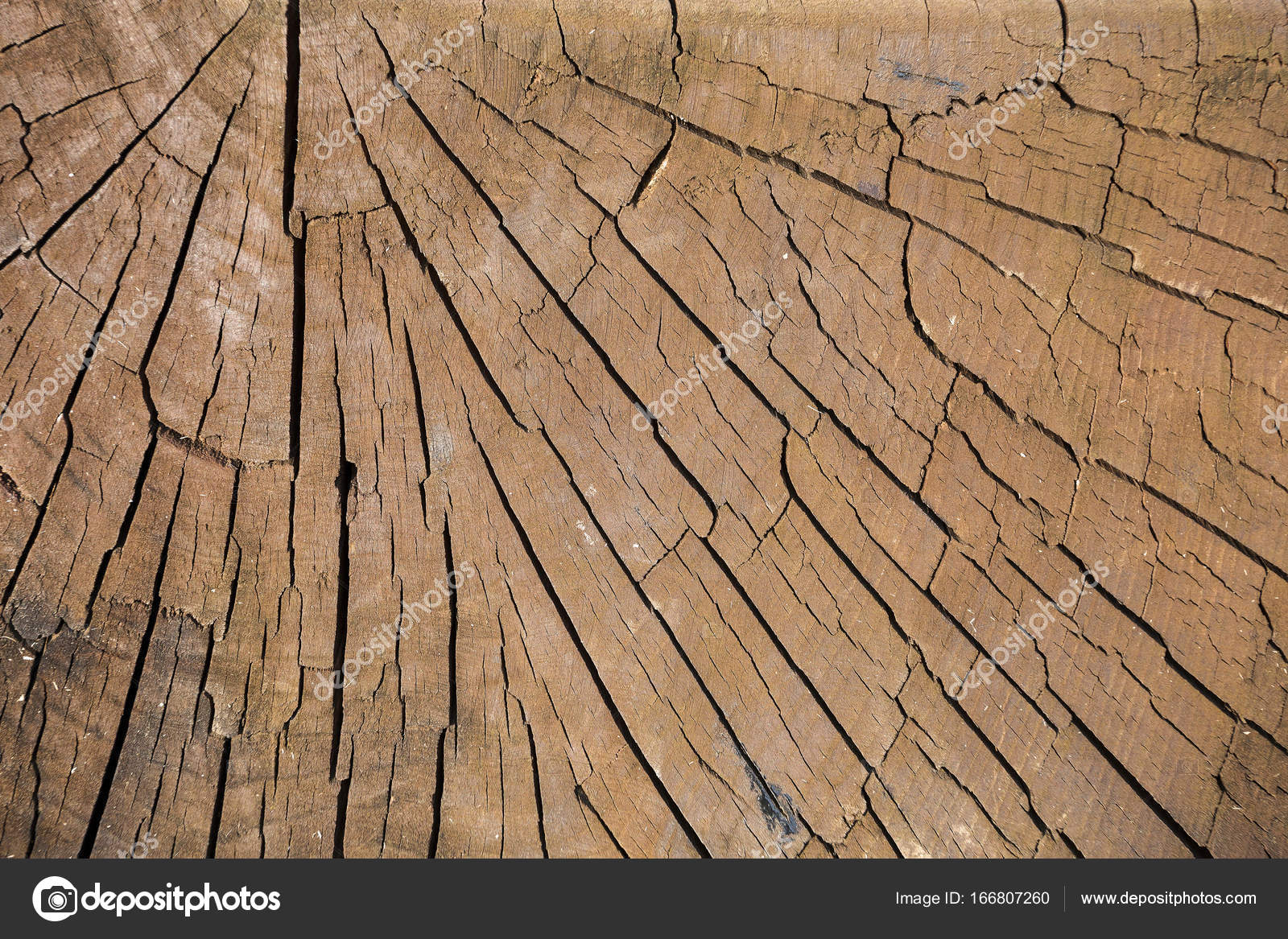 Texture Of Wood With A Natural Pattern Log Cabin Pine Old Col