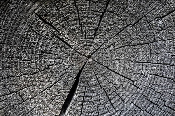 Doğal bir desen ile ahşap doku. Günlük kabin çam. Eski, bla