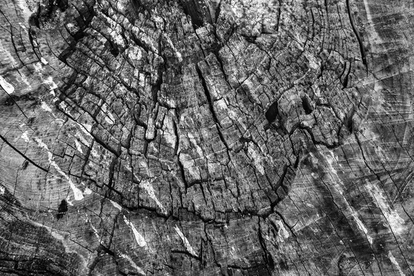 Текстура дерева с естественным рисунком. Деревянная сосна. Старый, бла — стоковое фото