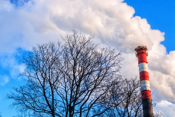 Smoke from the pipe. Contamination of the atmosphere. — Stock Photo, Image