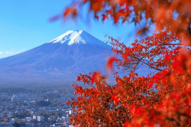 Kırmızı akçaağaçlar arasında Fiji volkanı.