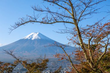 Fiji yanardağının manzarası.
