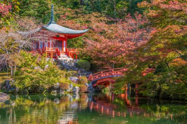 Japon sonbaharı. Kyoto Daigouji Tapınağı. 