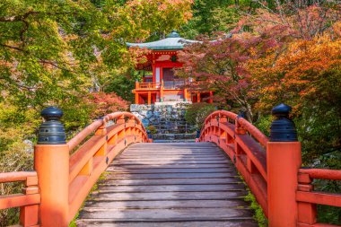 Japon sonbaharı. Kyoto Daigouji Tapınağı. 