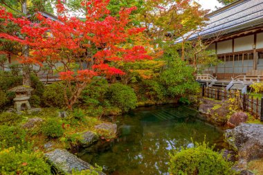 Bir gölet, kutsal Koyasan dağında bir bahçe, bir keşiş. Japonya