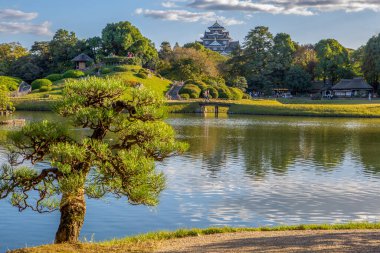 Okayama, Japonya - 4 Kasım 2019 Okayama Korakuen Bahçesi Okayama Kalesi 'nin arka planında