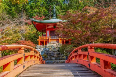Japon sonbaharı. Kyoto Daigouji Tapınağı. Sonbahar renkli yaprakları ve kiraz çiçekleriyle ünlü tapınak Kyoto 'da baharda çiçek açar.