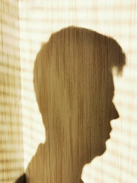 Shadow profile of a male head on a wall background.