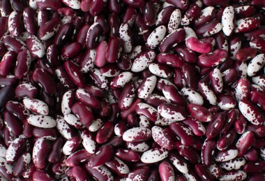 Gri arka planda beyaz ve kırmızı fasulyeler. Fasulye sağlıklı, lezzetli ve tatmin edici bir üründür..