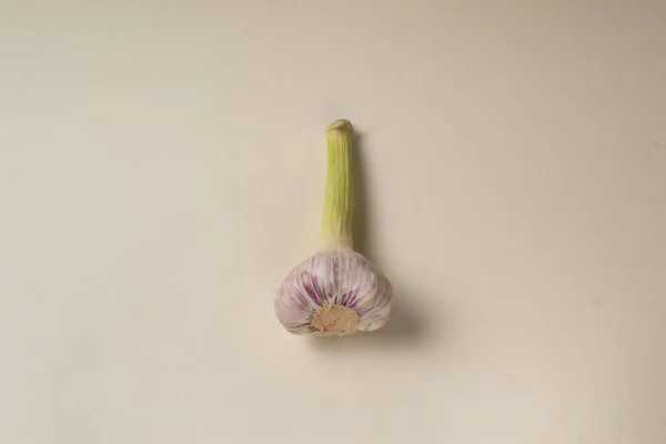 Young Garlic Stem Light Background Horizontal Orientation Concept Minimalism Copy — Stock Photo, Image