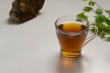 Chaga çayı ve huş ağacı dallarıyla dolu bir fincan, beyaz arka planda mantar. Boşluğu kopyala.