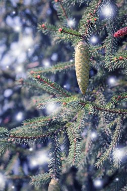 çam koni Noel ağacı