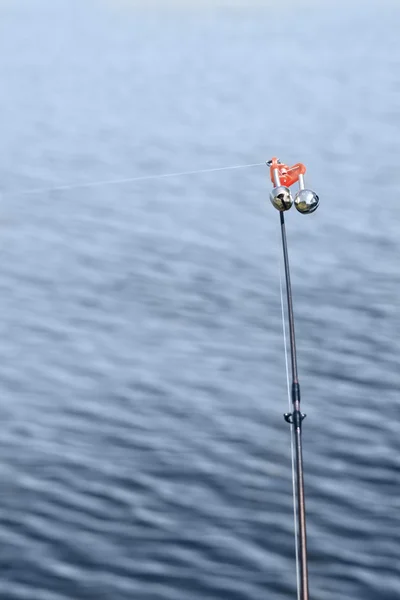 Een rivier van spinnen — Stockfoto