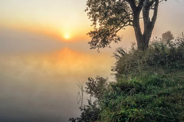 Речной туман — стоковое фото