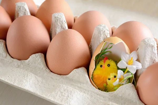 Kurczak jaj — Zdjęcie stockowe