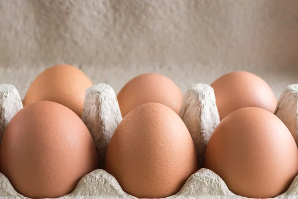 Kilka jaj kurzych w kartonie — Zdjęcie stockowe