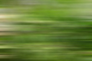 yeşil bir arka plan