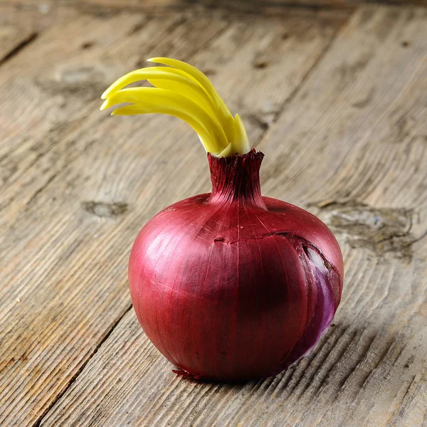 Gekiemde Uien Een Houten Ondergrond — Stockfoto