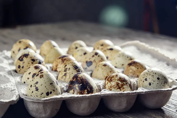 Huevos Codorniz Yacen Bandeja —  Fotos de Stock