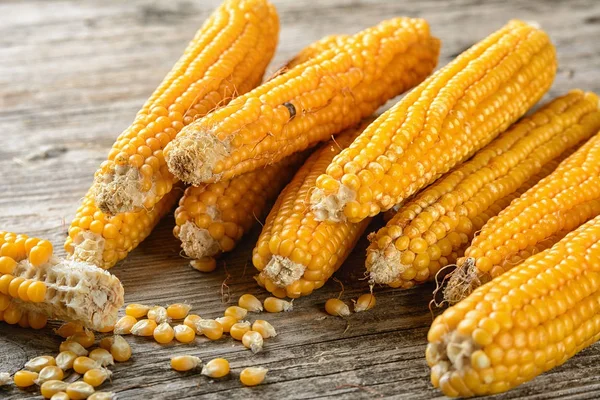 Corn Cob Popcorn — Stock Photo, Image