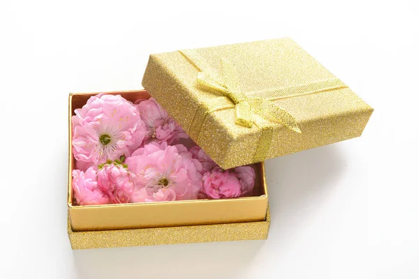 Gift Box Tea Rose — Stock Photo, Image