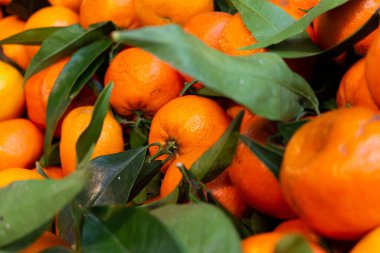 Meyve pazarında açığa çıkan bir mandalinanın yakın çekimi..