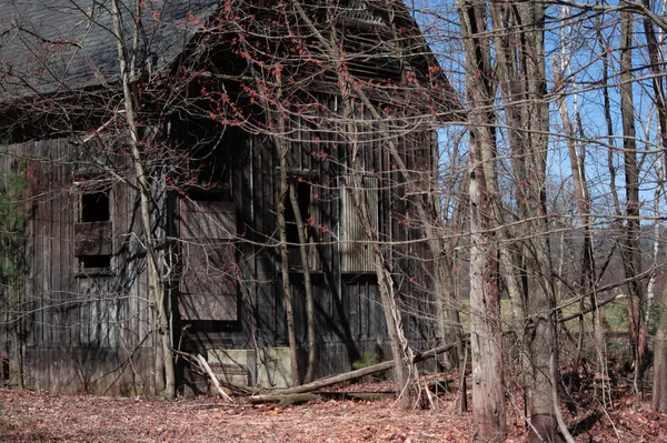 Glömd Barn Hösten — Stockfoto