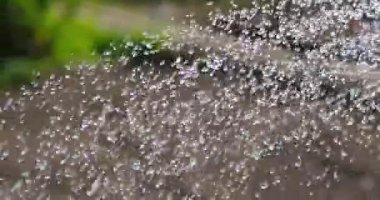 Bahçe bakımı konsepti. Su sıçratma yavaş çekim video.