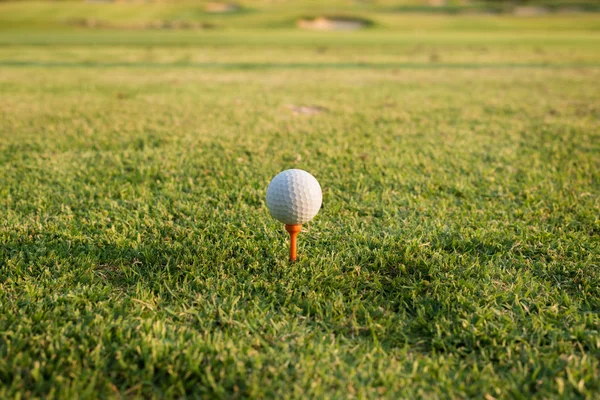 Golf ball on a tee against the golf course. Close up at golf bal