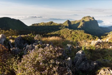 Chiang Dao dağ bulut içinde Chiangmai, Thaila ile peyzaj