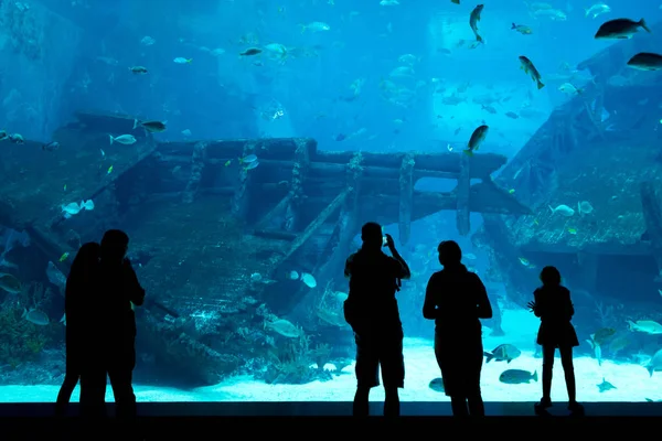 Sylwetki ludzi przed duże akwarium. Turystyczna poszukuje Internetu — Zdjęcie stockowe