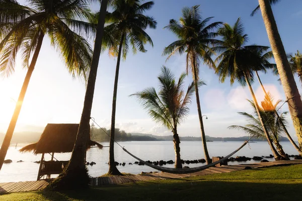 Uitzicht op tropisch strand met palmbomen kokosnoot hut en cradle bij — Stockfoto