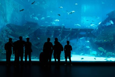 İnsanlara karşı büyük bir akvaryum siluetleri. Fi arayan turist