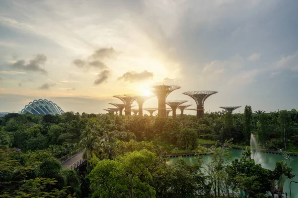 Singapore Supertrees in de tuin door de baai van's ochtends Bay Zuid — Stockfoto