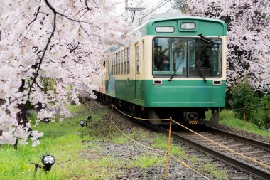 Kyoto yerel tren demiryolu parça güzelleşmek seyahat görünümünü