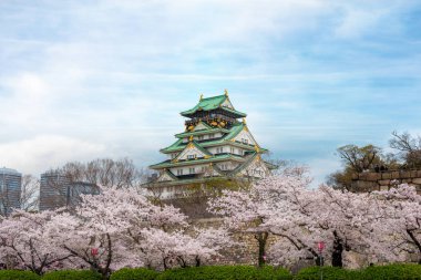 Osaka Kalesi Osaka kiraz çiçeği ile; Japonya. Japonya bahar b