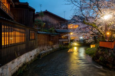 Kyoto, Japonya Gion ilçe sırasında Shirakawa nehirde 