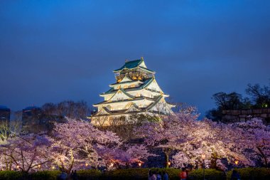 Osaka, Japonya Osaka Kalesi bahar kiraz çiçeği se sırasında