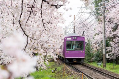 Kyoto yerel tren demiryolu parça güzelleşmek seyahat görünümünü