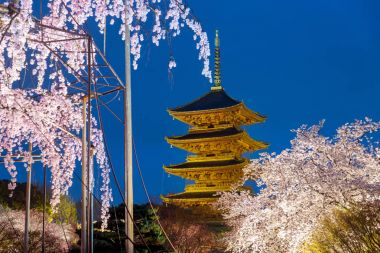 Kyoto, Japonya Toji Pagoda ile kiraz blossomin ışıklı Zen içinde at