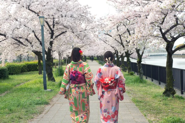 Casal asiático mulheres vestindo tradicional japonês quimono em sakura — Fotografia de Stock