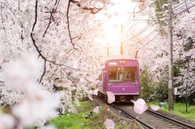 Kyoto yerel tren demiryolu parça güzelleşmek seyahat görünümünü