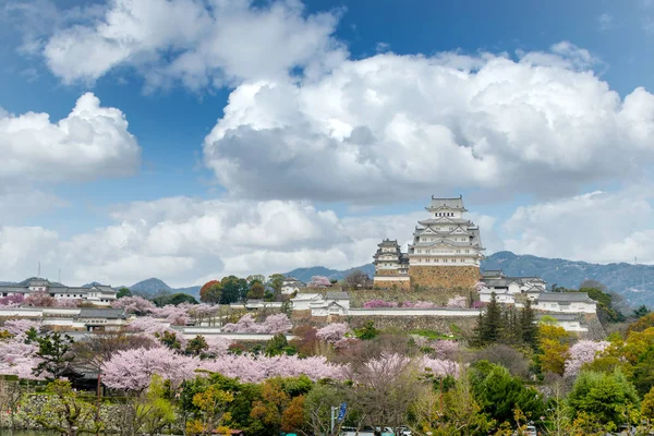 Temporada de flores de cerejeira com o castelo Himeji na cidade de Himeji , — Fotografia de Stock