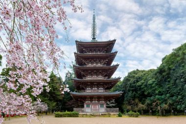 Beş katlı Pagoda Daigoji tapınağında Japonya kiraz çiçeği ile 