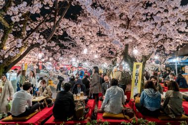 Kyoto, Japonya - 7 Nisan 2017: Bahar Japonya kalabalık zevk cher
