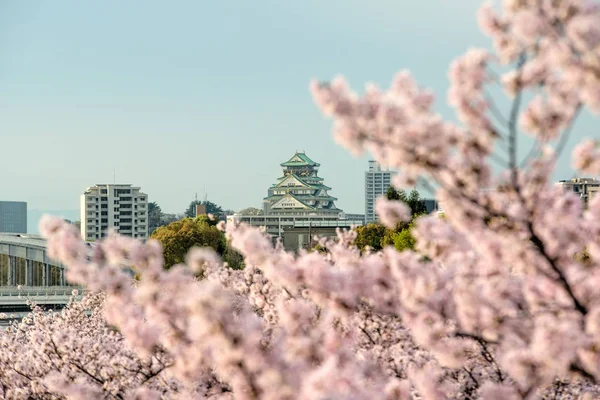 Zamek Ōsaka z wiśni w Osace; Japonia. Japonia wiosna b — Zdjęcie stockowe