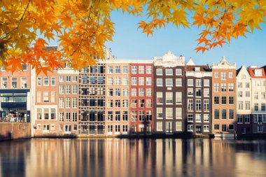 Amsterdam sokak geleneksel eski Hollandalı colo, sonbahar sezon