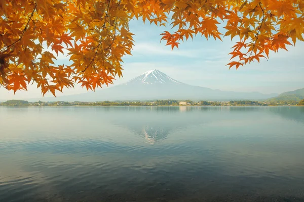 Stagione autunnale e montagna Fuji al mattino con foglie rosse di acero — Foto Stock